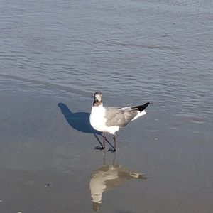 Meet your Posher, Cyndi